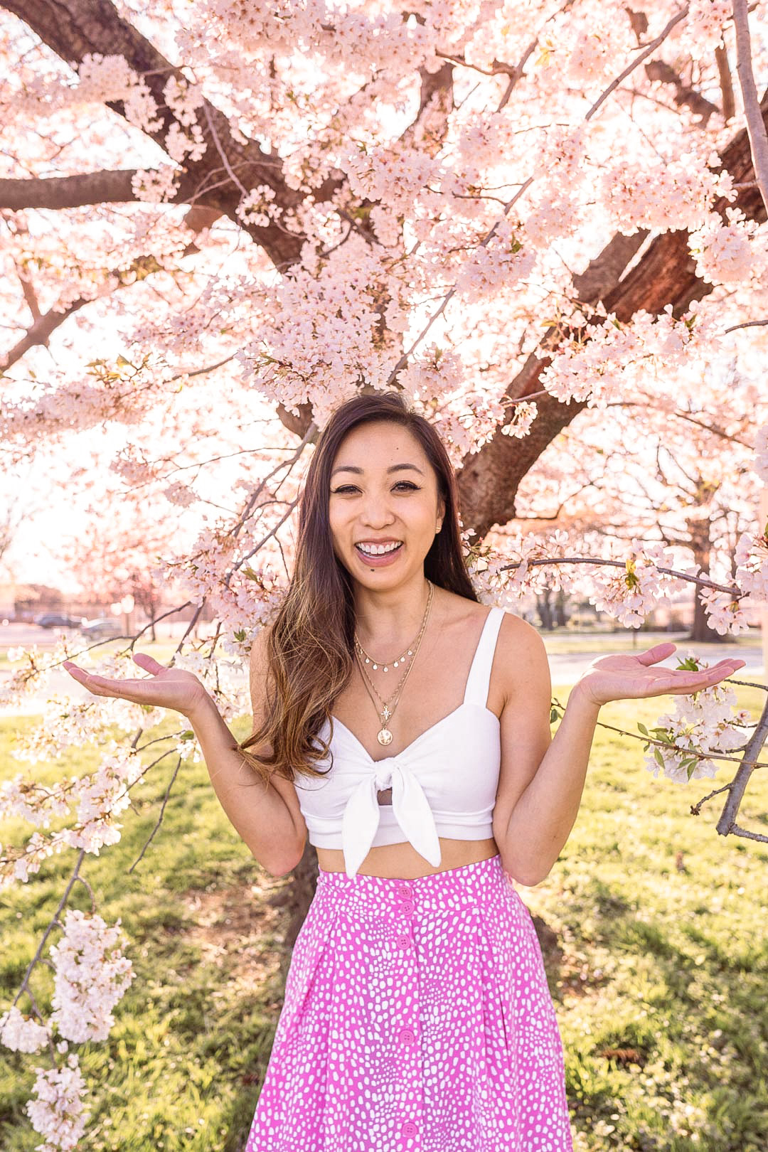 Cherry Blossoms around Tidal Basin