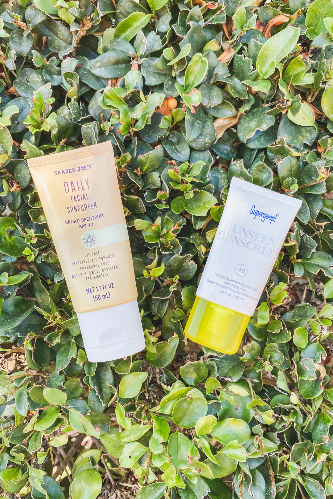 Looks for Less: Trader Joe's Facial Sunscreen (Supergoop Dupe)