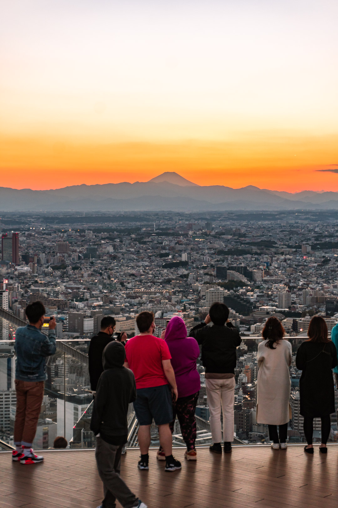 Shibuya Sky: Tokyo's Most Amazing Rooftop Observation Deck