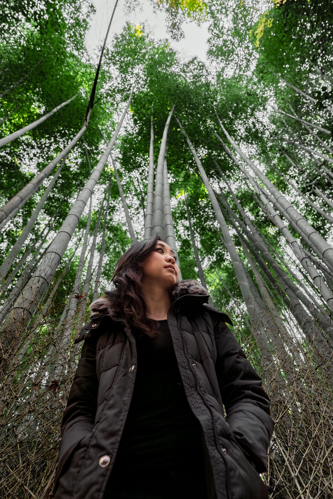 Is Arashiyama Bamboo Forest Worth Visiting? I Think Not...